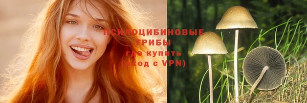 соль курить ск Шали
