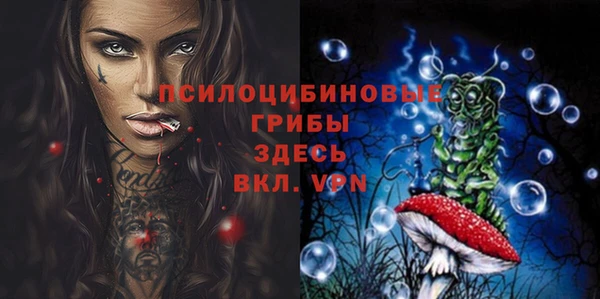 мдма Каменка