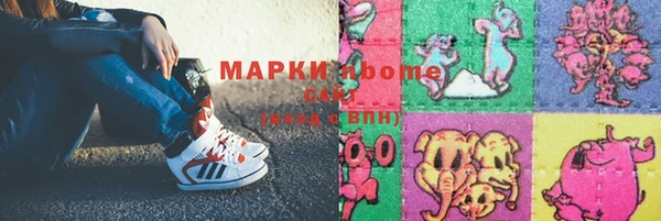 твердый Шадринск